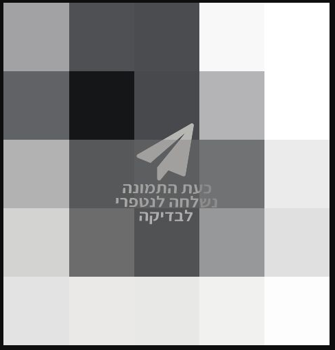 נשלח לבדיקה.png